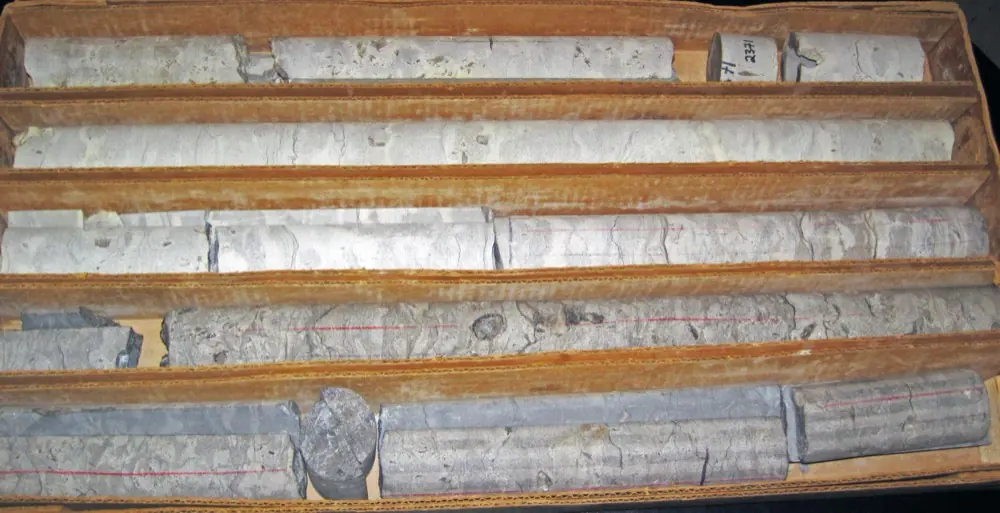 Logged drill core laid out in a core tray